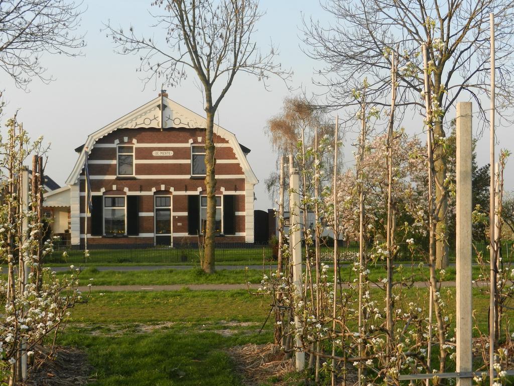 B&B De Bloesemgaard Eck en Wiel Exteriör bild